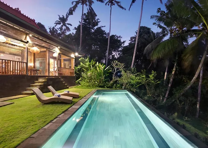 Villa With Amazing Rice Field View Between Canggu And Ubud