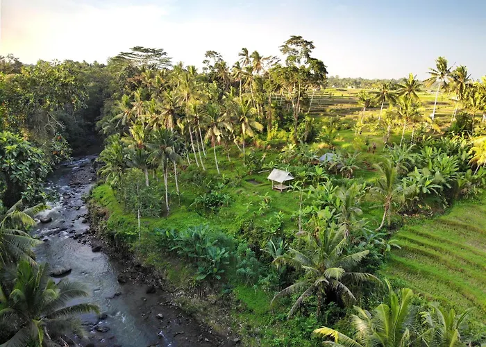Villa With Amazing Rice Field View Between Canggu And Ubud