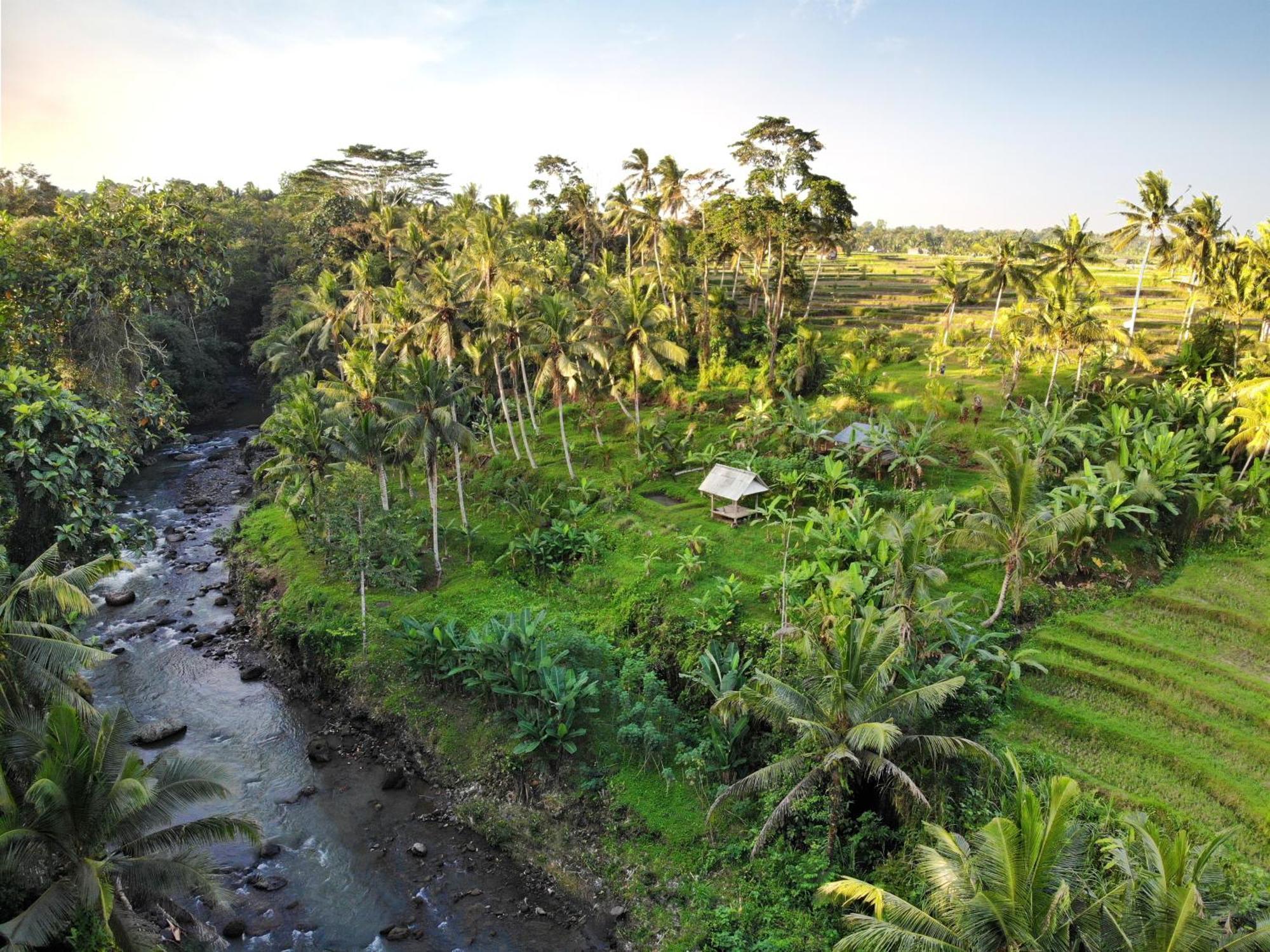 With Amazing Rice Field View Between Canggu And Ubud *